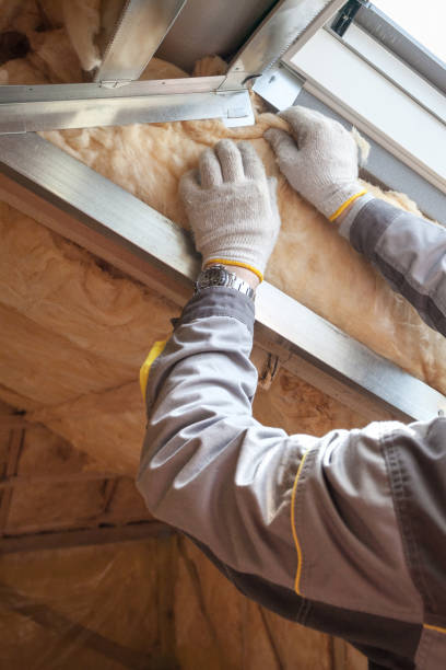 Best Insulation Installation Services in Bluffton, OH